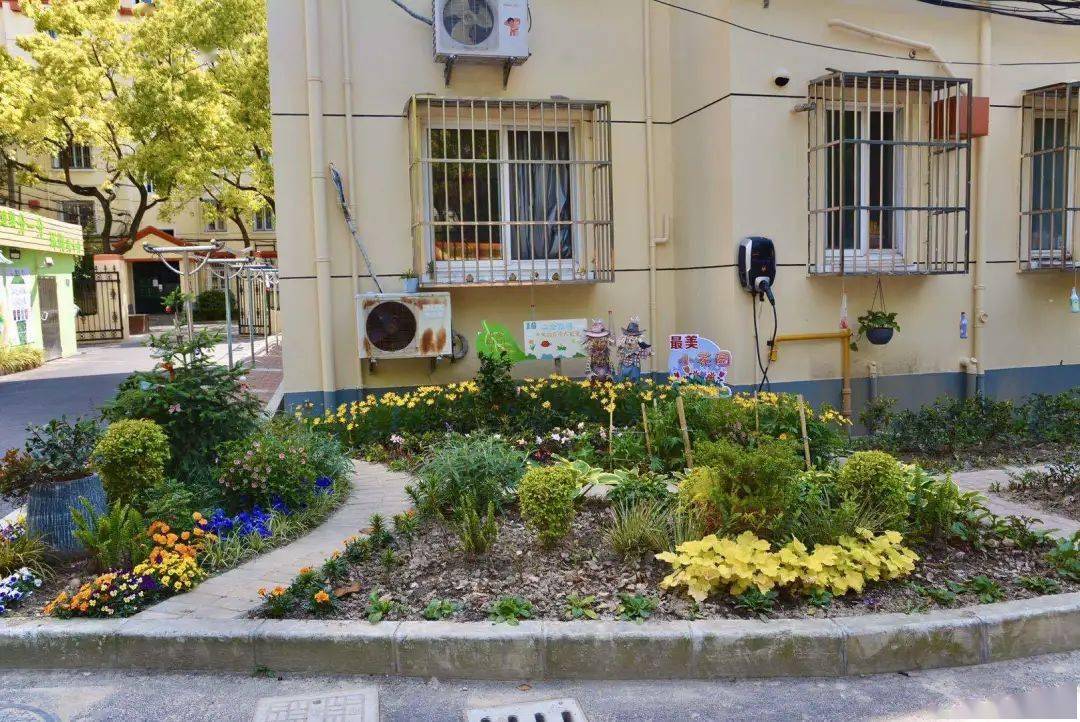 兴治理社区花园营造及养护沙龙带你聊聊打造社区花园的那些事儿