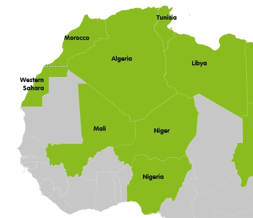 阿尔及利亚试图再次重返非洲大陆