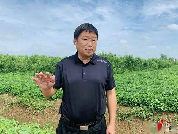 全面小康一个都不能少河南上蔡全景式构建产业扶贫大格局