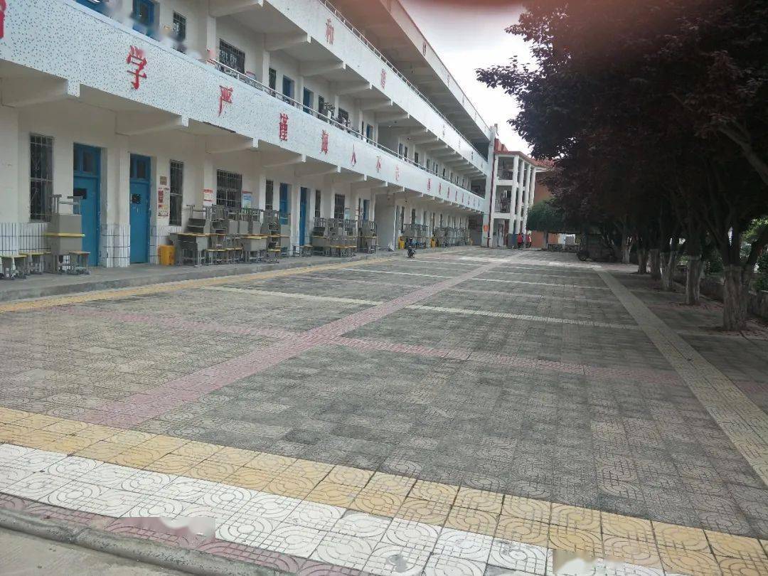 打造魅力开封巩固创卫成果开封十中青年志愿者积极开展城市大清洁行动