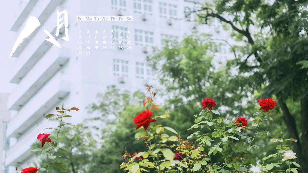 八月地大专属月历壁纸已上新!