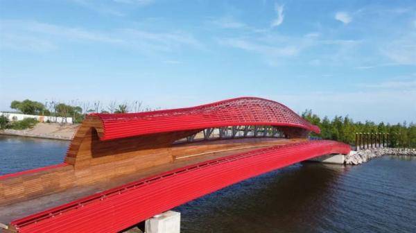 "四美"网红桥"放光"映照滴水湖 美妙奇景候客来