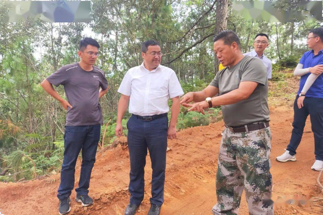 陈方勇在会理北大门召开森林草原防灭火专项整治现场会