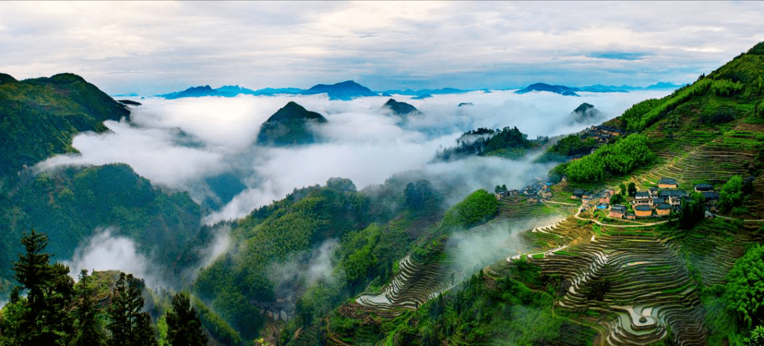 免免免减减减宁德人走福安白云山景区避暑去