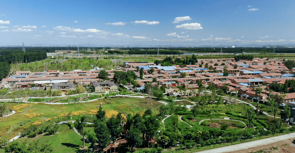 香河北李庄村真幸福