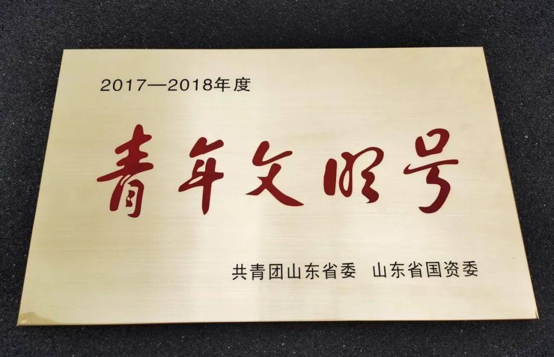 银座幼教黄金园获颁山东省青年文明号荣誉称号
