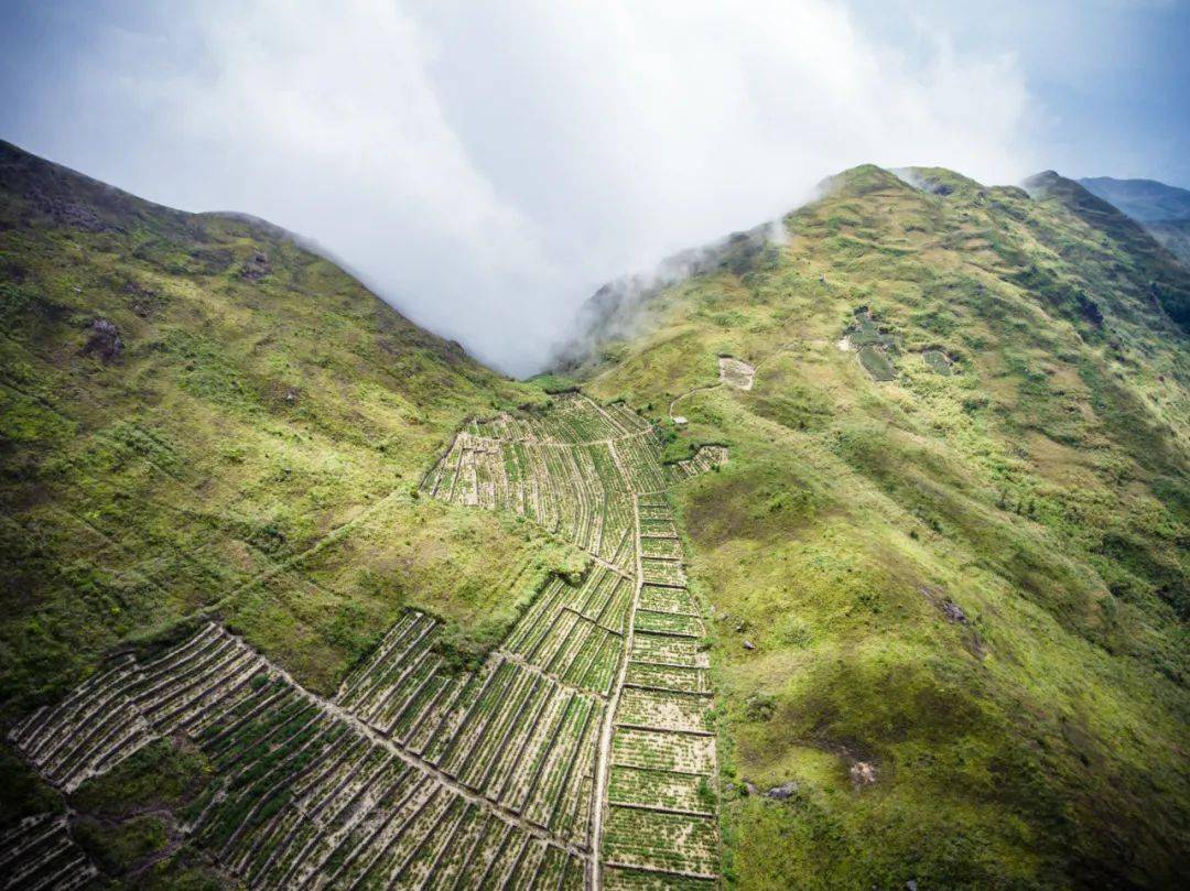 饶平西岩山图片