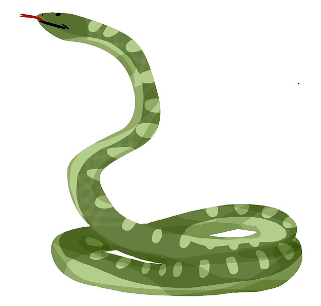 【可怕】男子卖药酒被毒蛇咬伤身亡!提醒:被蛇咬伤,第一时间这样做