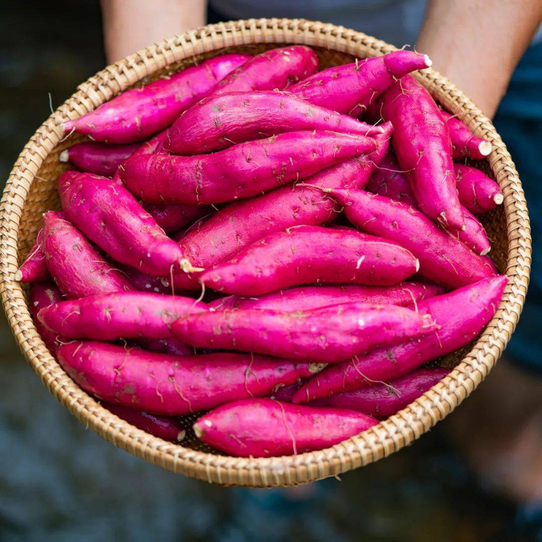 婺源小香薯,香甜软糯!掰开见黄心,轻抿似奶油!