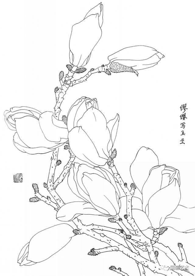 白描花卉写生范本 百花谱