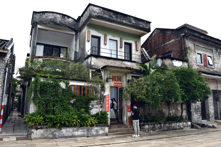 顺德区新闻工作者协会走访杏坛青田 探寻"青田范式"乡村振兴之路