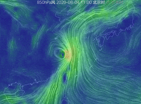 刚刚发布洪水黄色预警台风登陆丽水多地满水山体塌方老桥被毁