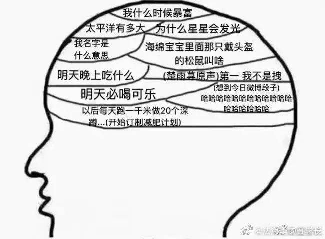 【开心杂货铺0805】该怎么跟奶奶解释呢?_脑子里