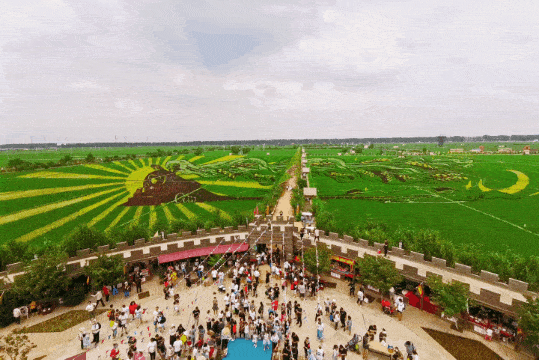 约吗沈北这里有个稻梦空间丨还你一个稻田梦