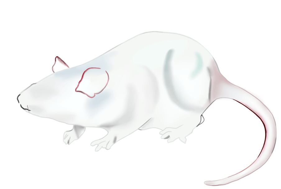 加深颜色用画笔工具画出小鼠的轮廓03(ai与其做图思路一致)用到的是ps