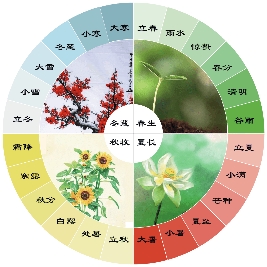 幼儿园二十四节气童谣小视频,为你的园所贴上品质的标签