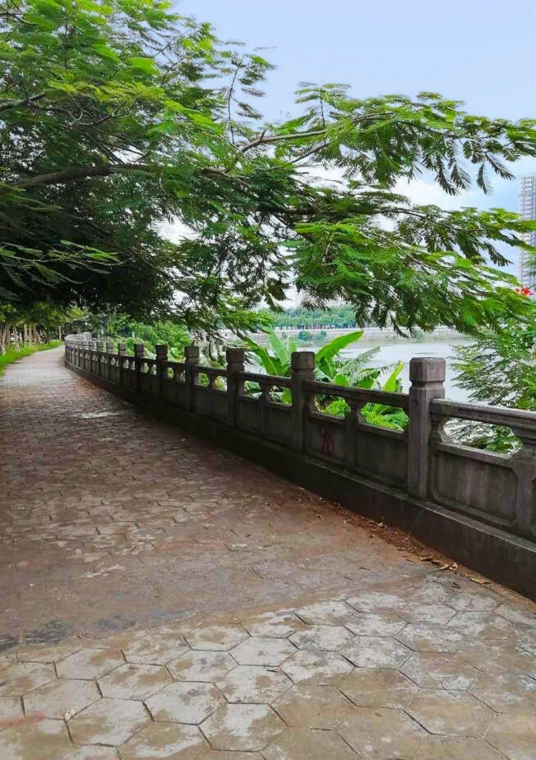 ?通过窗户远眺可以看见满眼苍翠的绿植蜿蜒的泷江和不远处热闹的