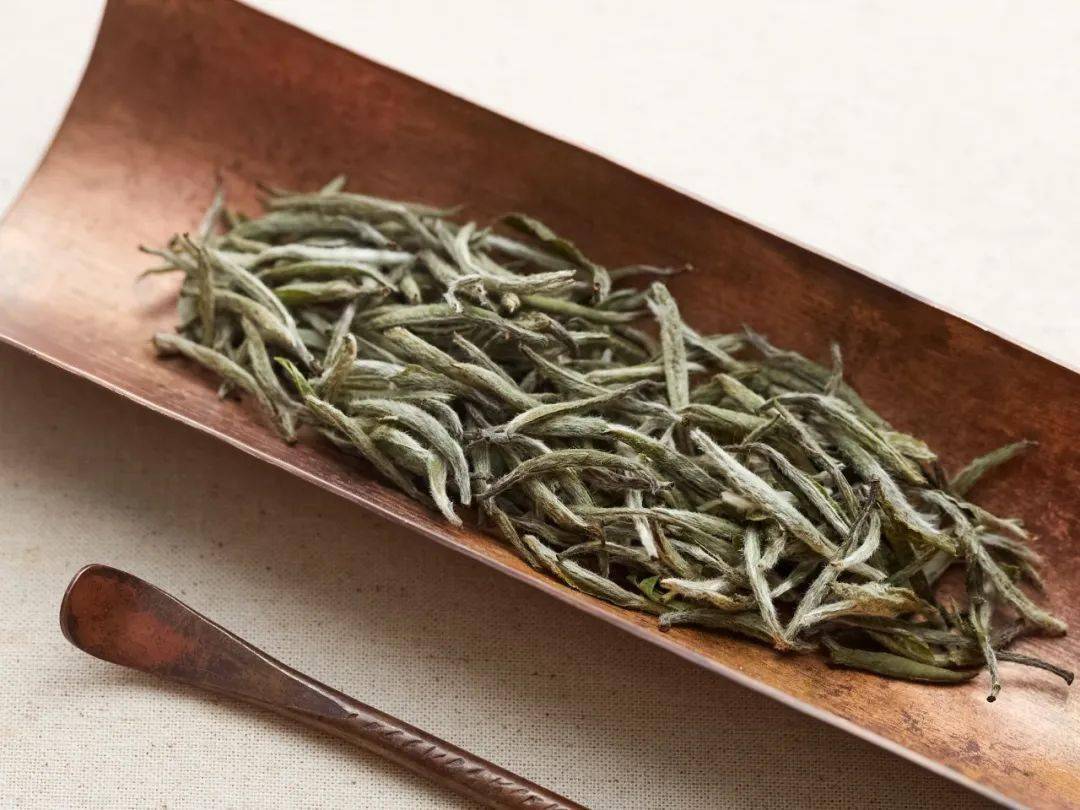 众筹丨宋徽宗独爱的政和白茶,春季头采!_白牡丹