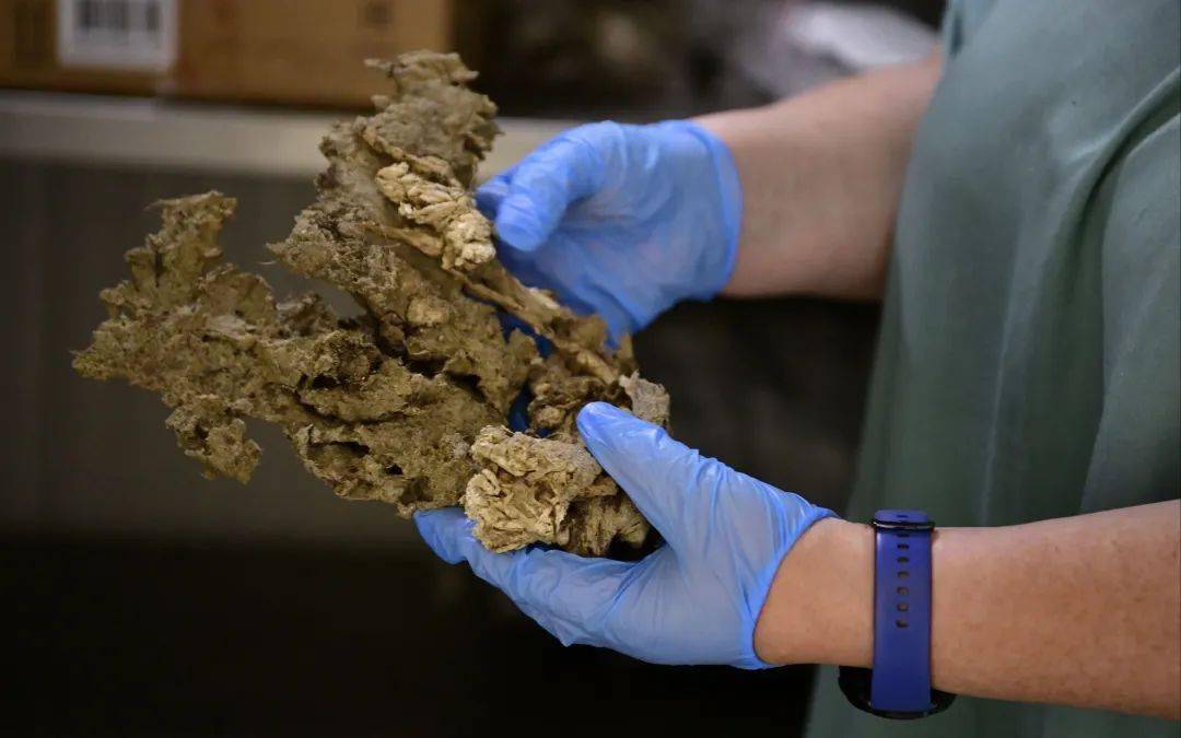 头条速览俄罗斯卡尔梅克共和国总统巴图哈西科夫感染新冠病毒