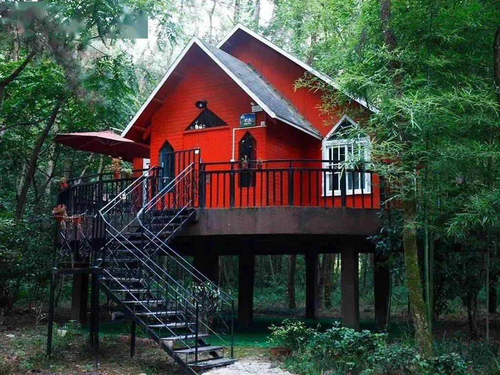 499元抢购仙居绿地野营基地农家乐8人套餐烤羊排炫丽灯光秀皮划艇k歌