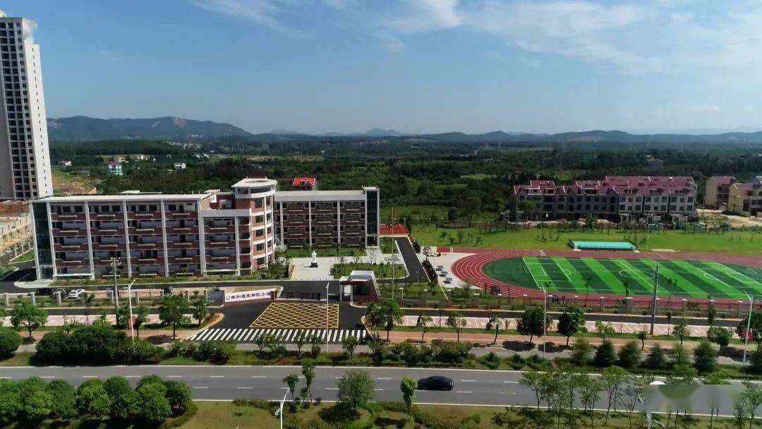 泰和民办学校的教育变革与展望