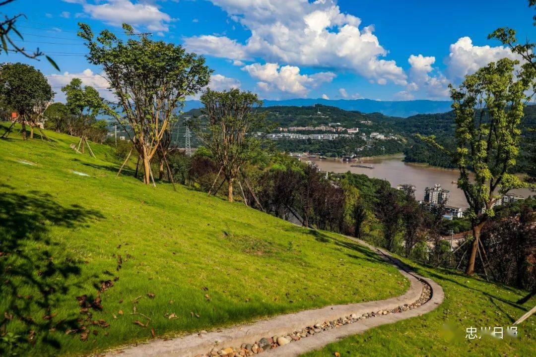 形成绿色生态休憩景观空间种植迎春和三角梅形成绿化通过设置花箱中博