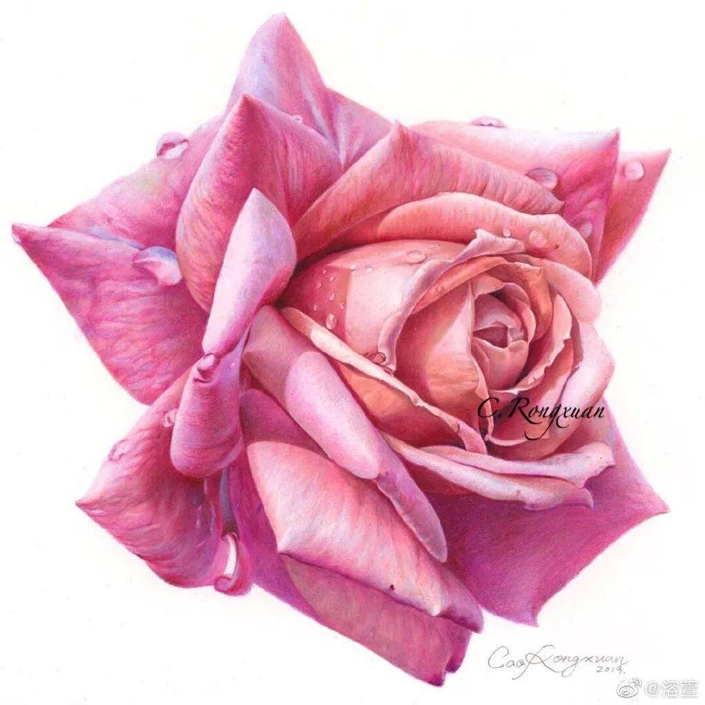 油性彩铅这样画,效果简直美炸!