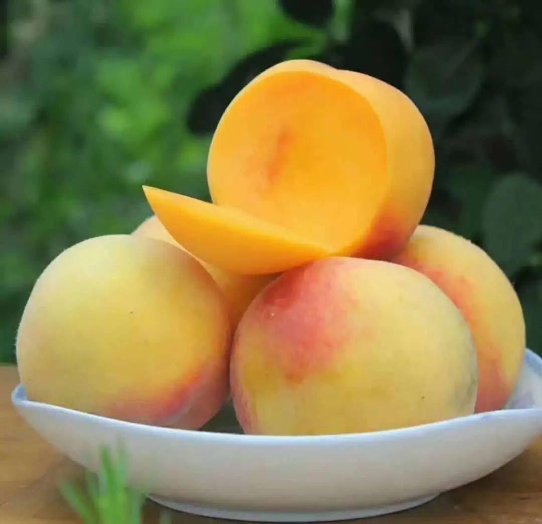 新鲜上市香甜可口的奉贤光明锦绣黄桃现可优惠购买