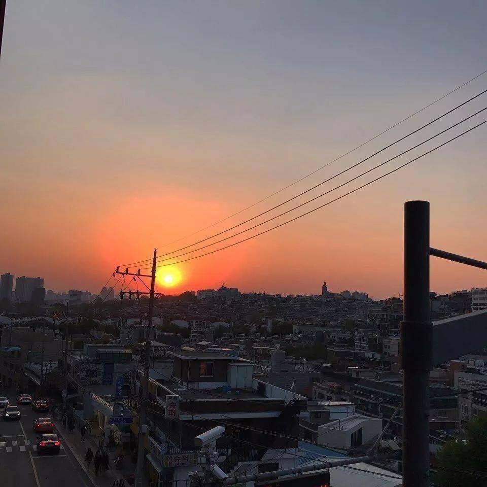 背景图揉揉小猪头万事不用愁