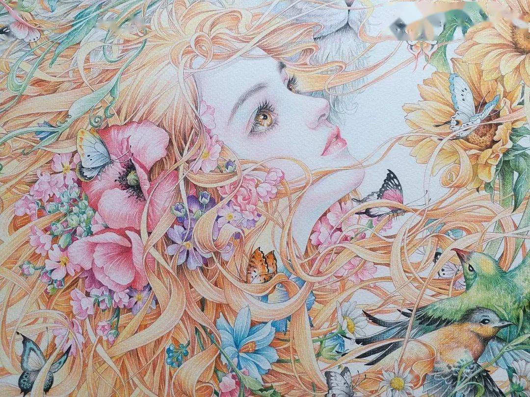 又有才华的艺术家毕业于清华大学美术学院公认插画界最牛彩铅大神细节