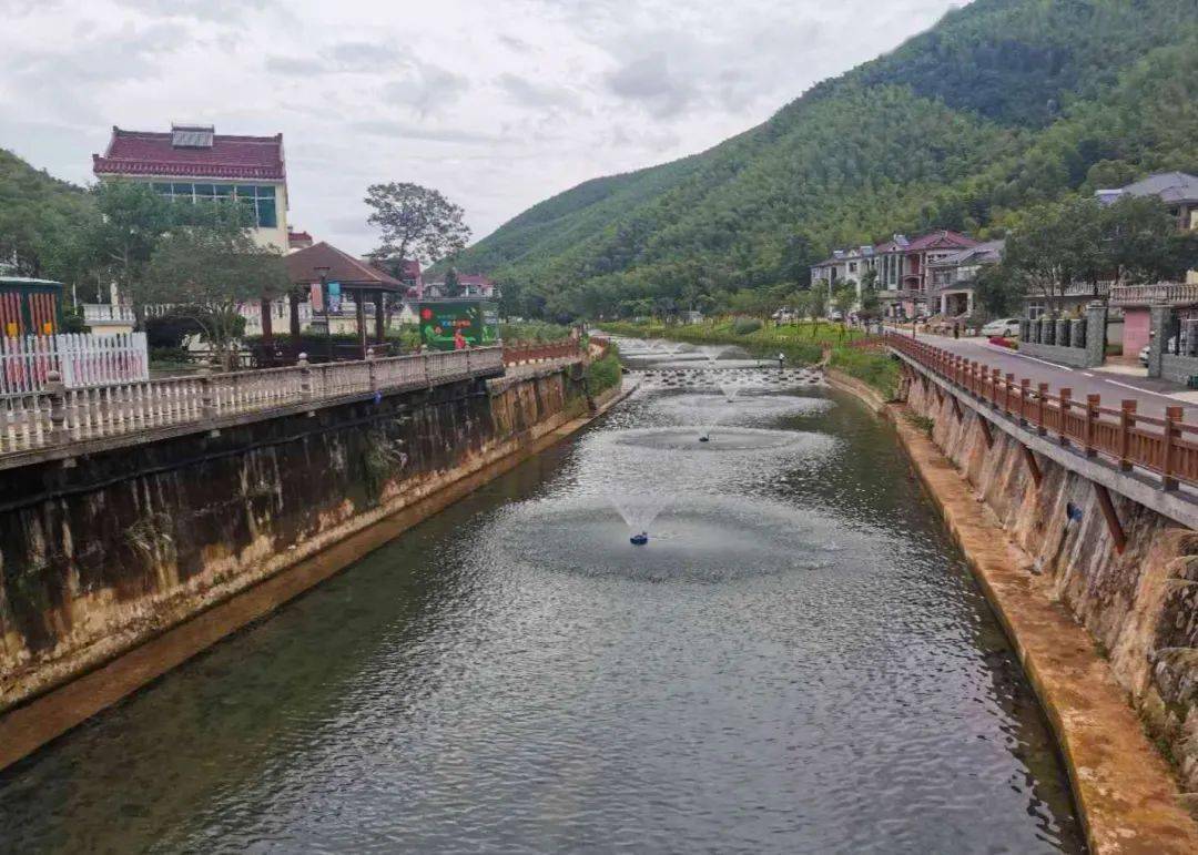 浙江:走一条"绿水青山就是金山银山"的小康之路_新川村