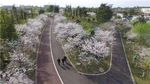 森林康养圣地—洪雅县玉屏山野鸡坪露营地