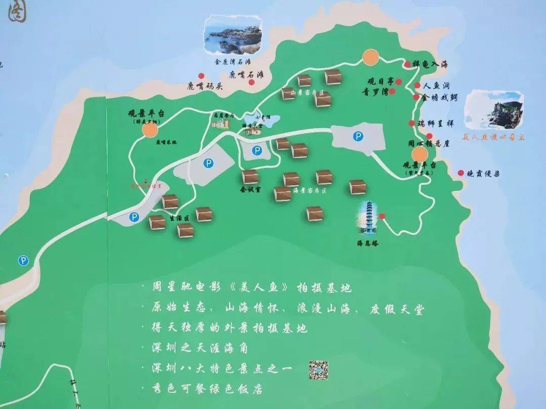 15-8.16:大辣甲岛浮潜 酷炫桨板 美人鱼拍摄地 大鹏古城 - 拷贝_深圳