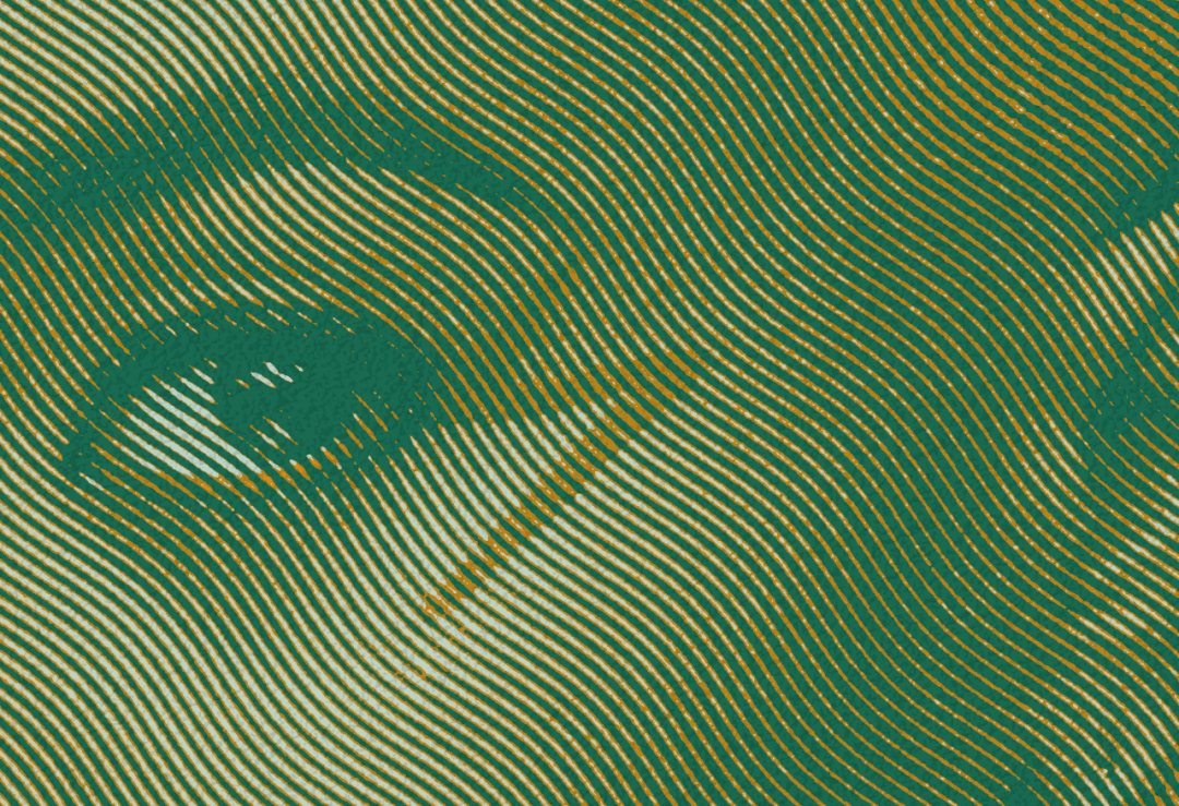 照片一秒变版画这效果真的爱了