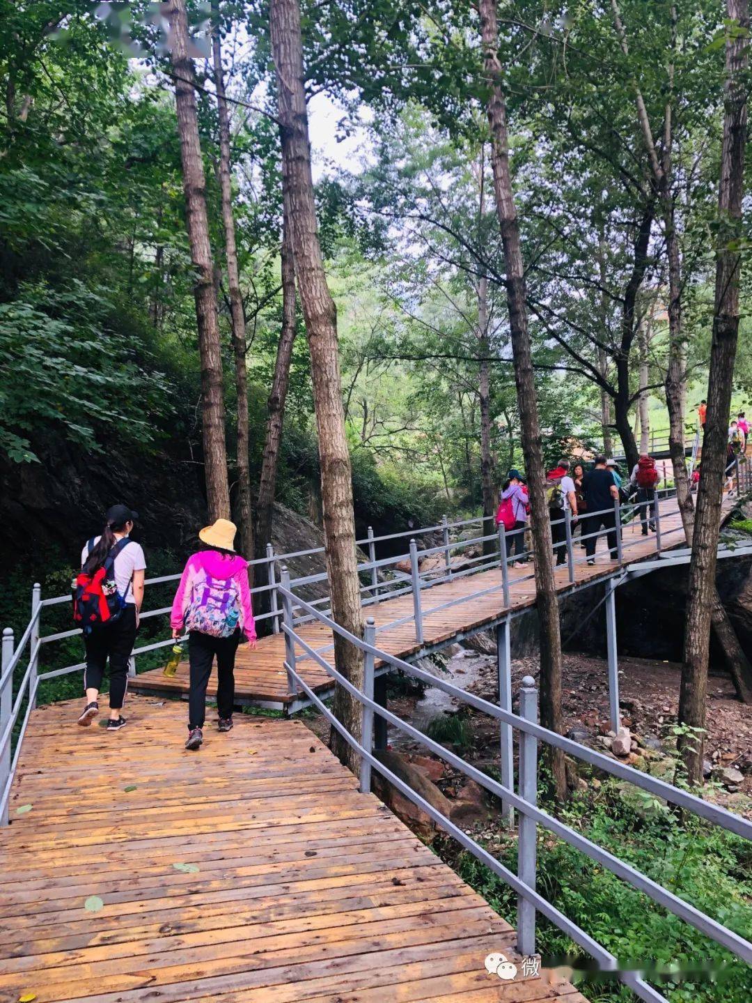 老树,老院,老历史车谷砣村原名车轱辘坨村,是灵寿县西北部深山区的一