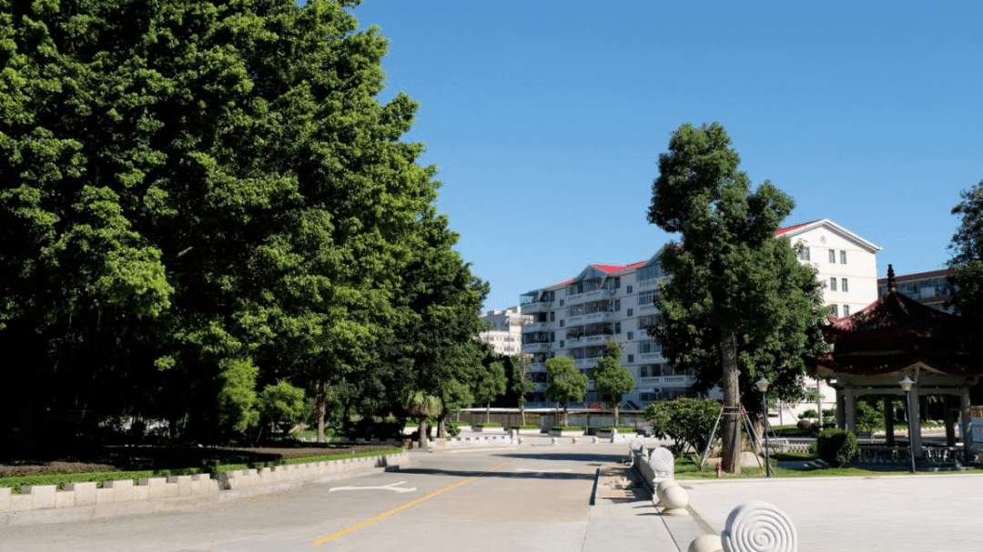 【泉州绿盈乡村⑨】石狮市永宁镇前埔村:整治人居环境 振兴乡村生态