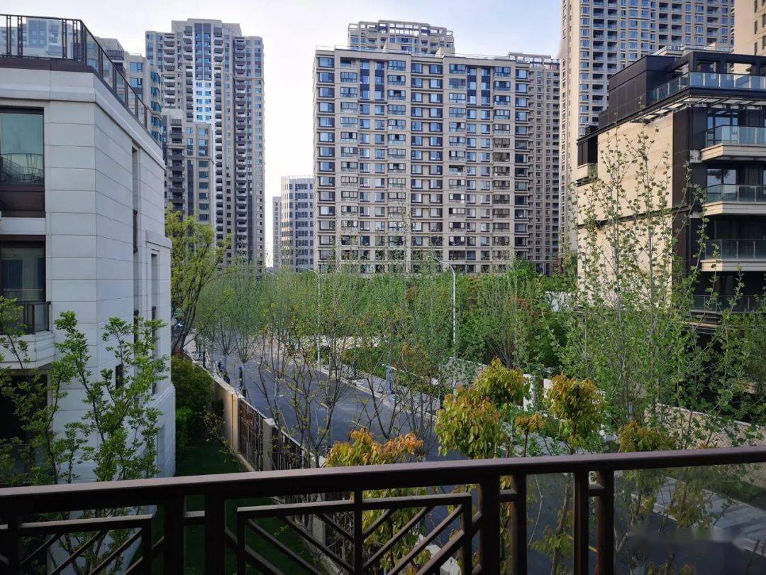 被迫营业的亮亮光星华府介绍