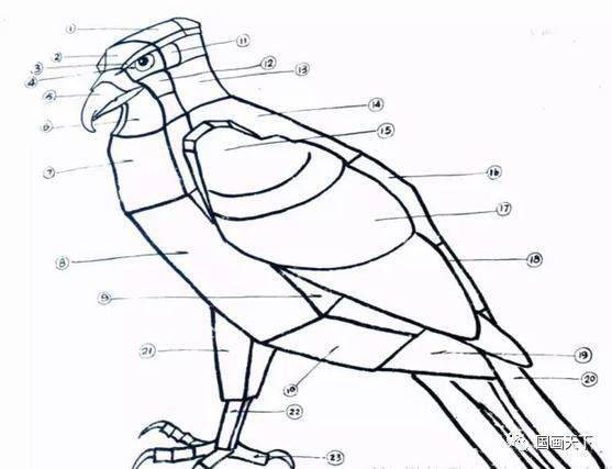 国画大师教你鹰的画法
