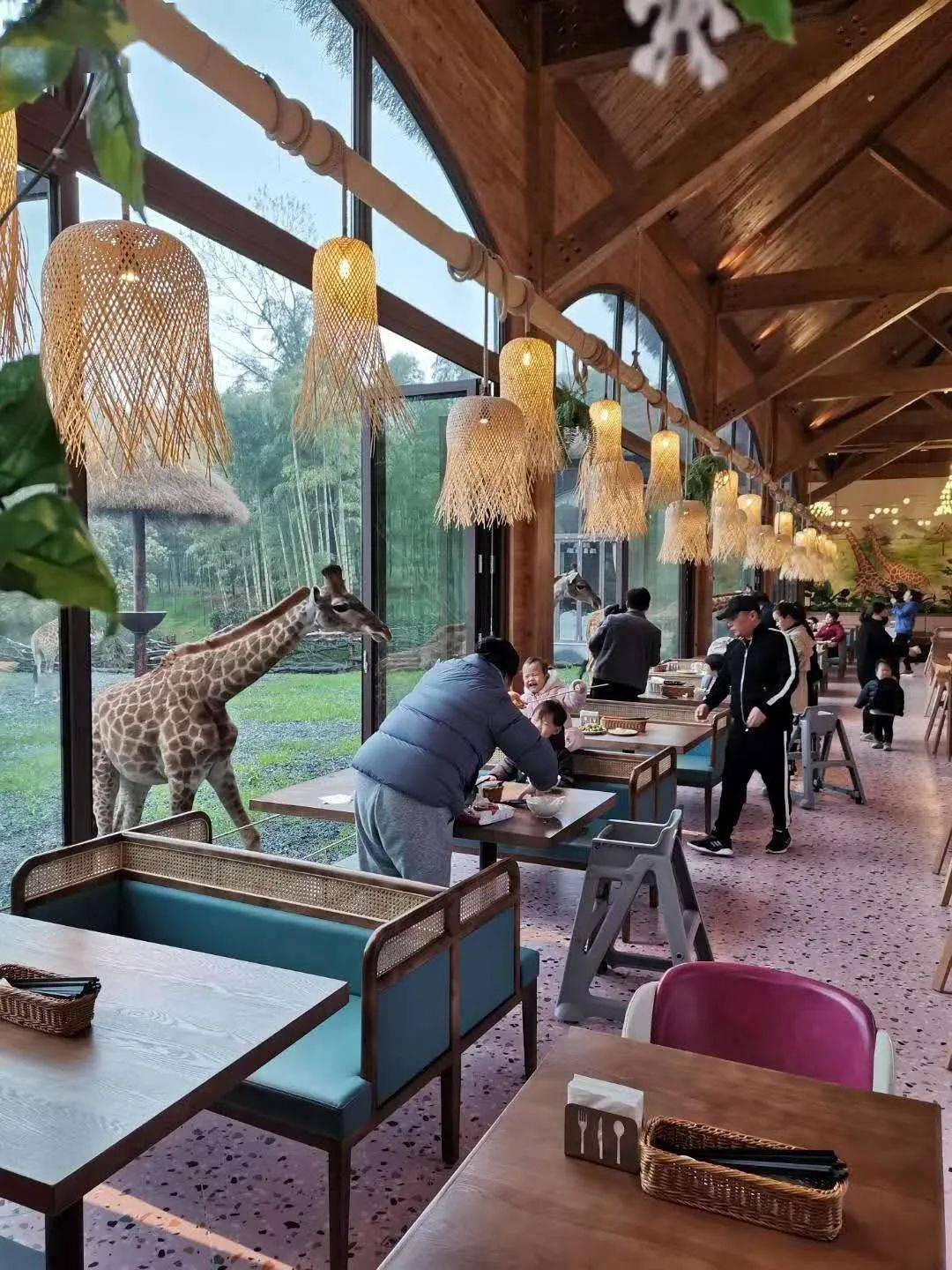 湖州长颈鹿庄园丨国内首家长颈鹿互动式乐园
