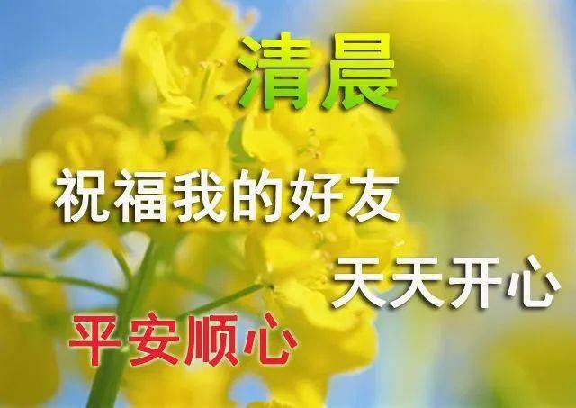 清晨特漂亮的早上好圖片大全早上好問候語及祝福語表情圖片