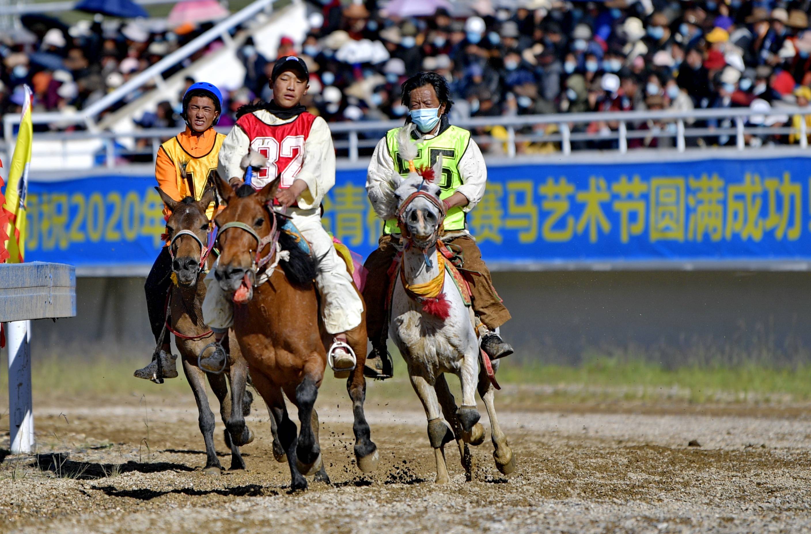 8月13日,骑手达瓦顿珠驾驭赛马"龙子"在走马比赛决赛中.