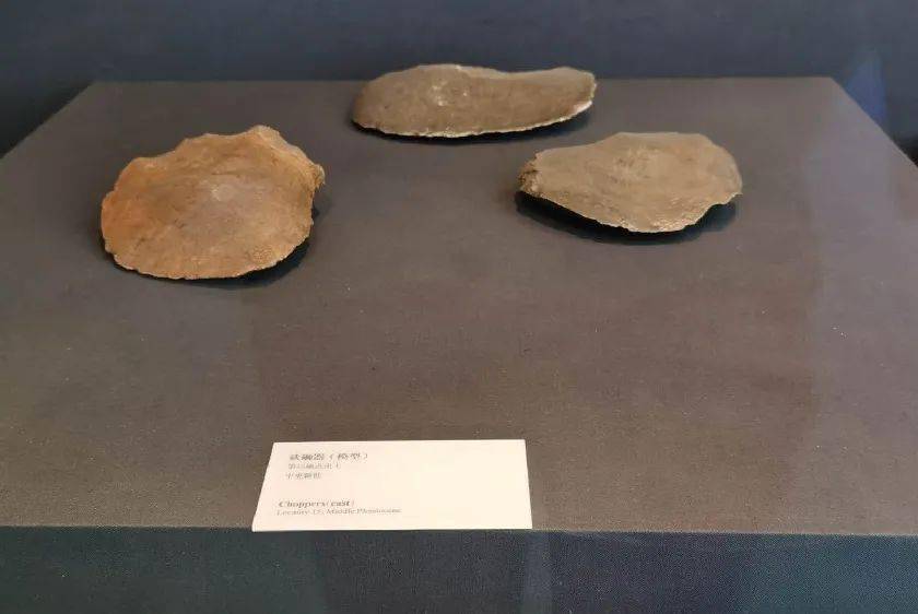 从打击痕迹来看,"北京人"掌握三种制作石器的方法,即锤击法,碰砧法和