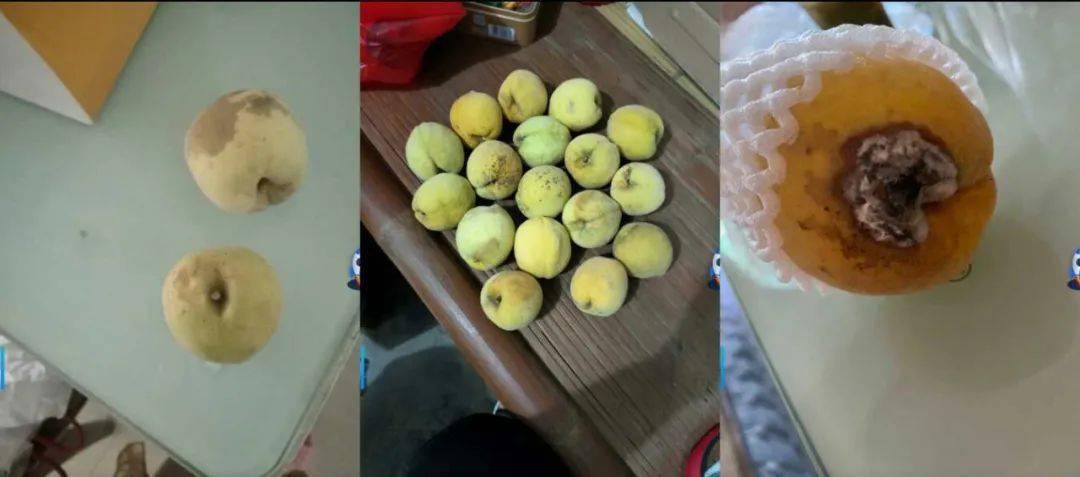 罚!玉屏一合作社经营出售不合格黄桃被查处