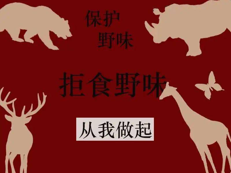 动物,中间放上醒目的大字,直冲人心,图文相配,让人清楚地明白海报的