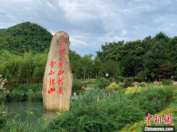 "两山"理念15周年看浙江:本立而道生