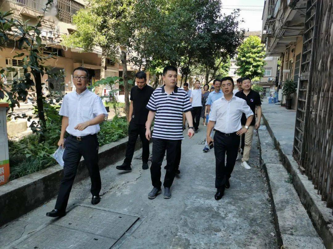 聚焦状元丨龙湾区委副书记代区长夏禹桨一行赴状元街道暗访督查全国