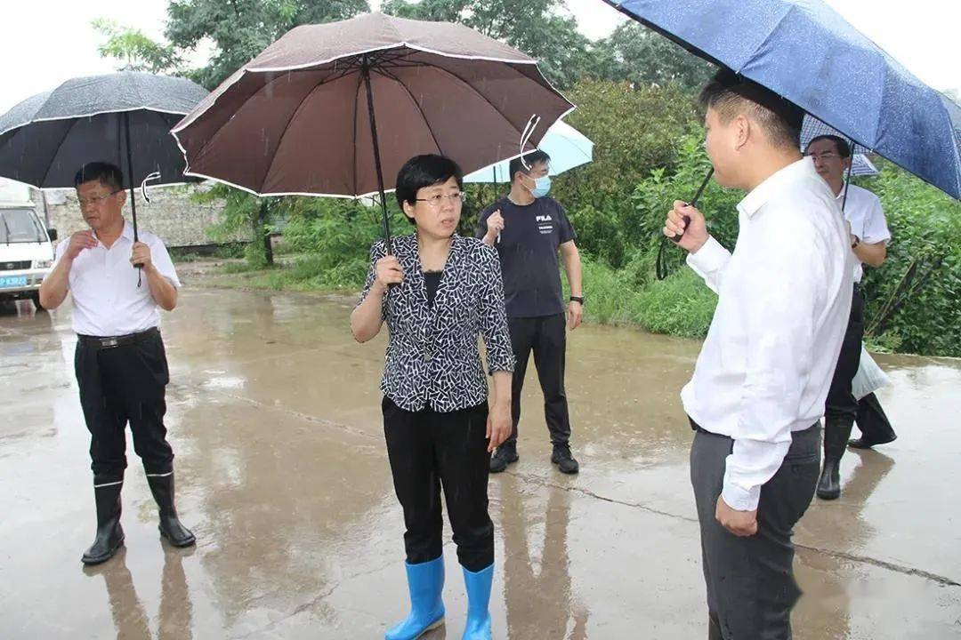 祁学兰到烟店潘庄八岔路等地现场督导防汛工作