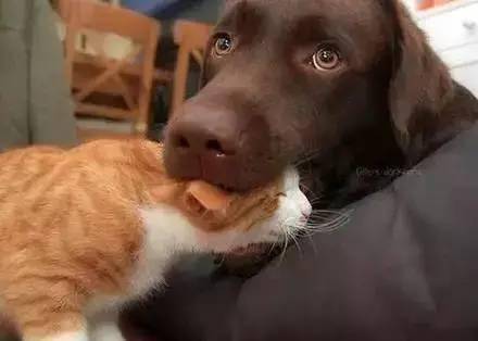 单身汪慎点少受点伤害对你有好处