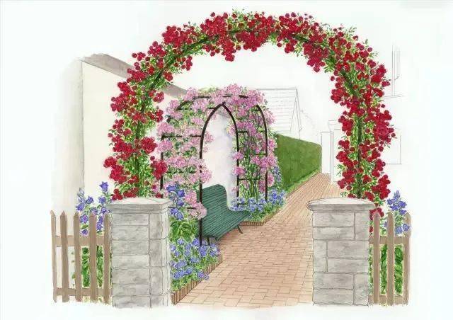 101款手绘花园院子植物小景