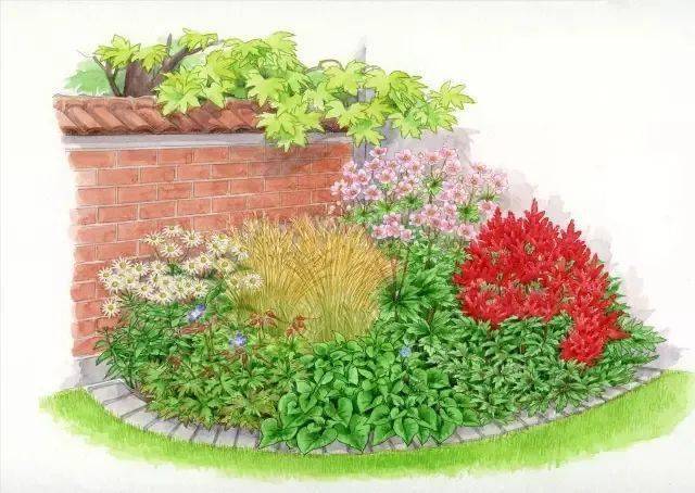 101款手绘花园院子(植物小景)_花镜